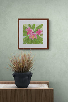 69f2ad89a10cdd42a53ee007_close-up-of-a-small-plant-sitting-on-a-cabinet-1-_1779401174038.jpg