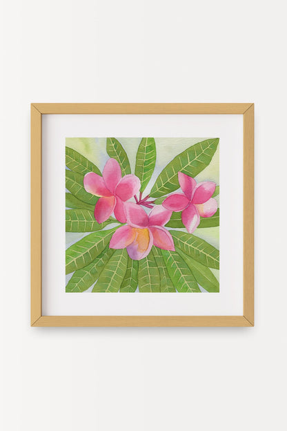 69f2ad89a10cdd42a53ee007_deep-pink-plumeria-b_1779401144177.jpg