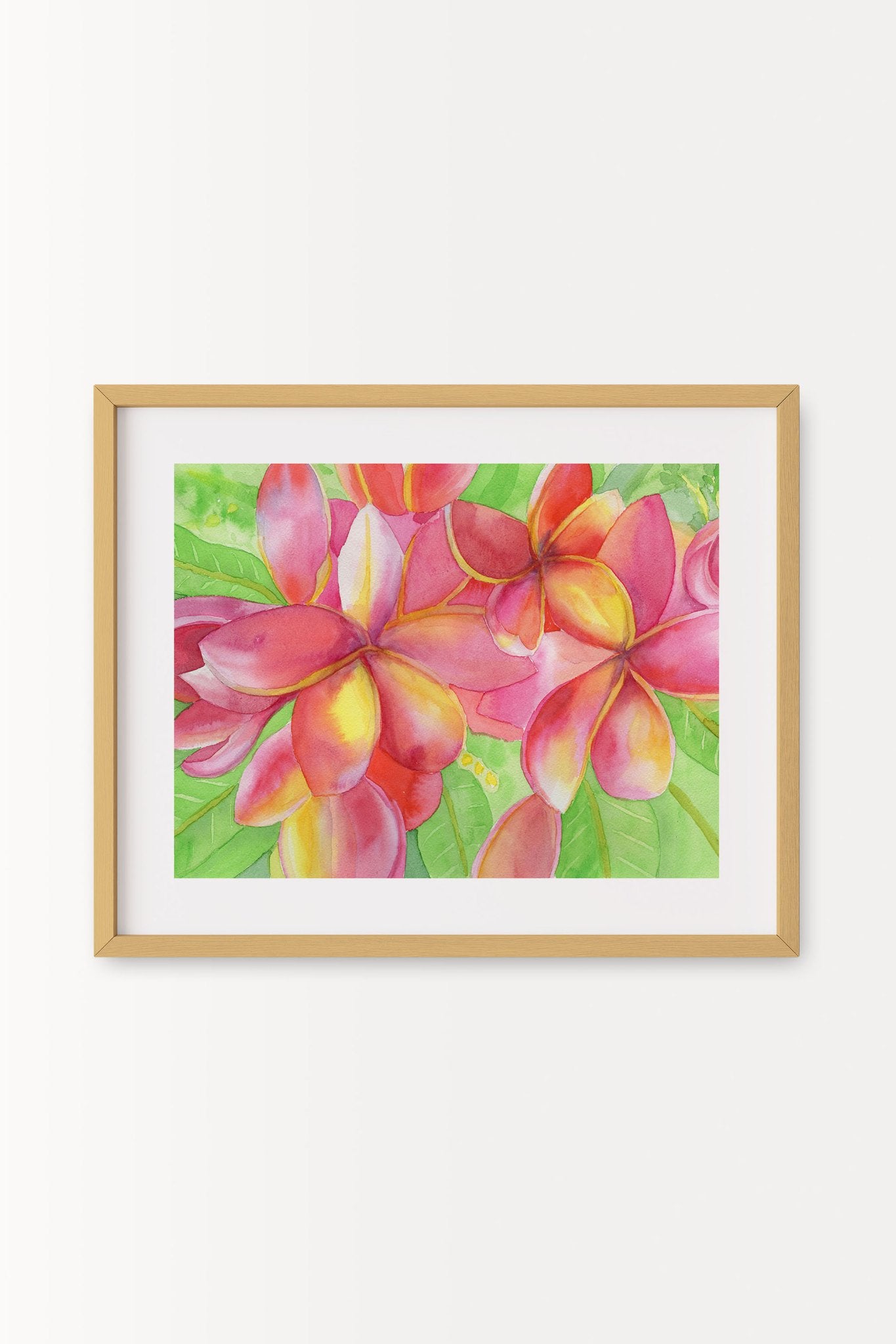 69f2ad89a10cdd42a53ee007_fuchsia-and-yellow-plumeria-natural-a_1779223689914.jpg
