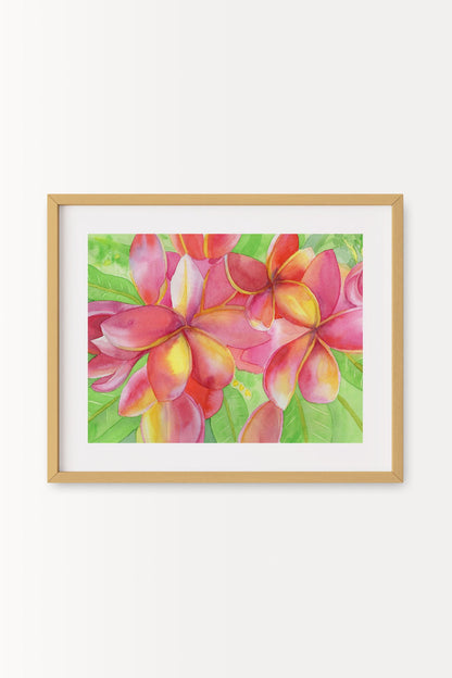 69f2ad89a10cdd42a53ee007_fuchsia-and-yellow-plumeria-natural-a_1779223689914.jpg