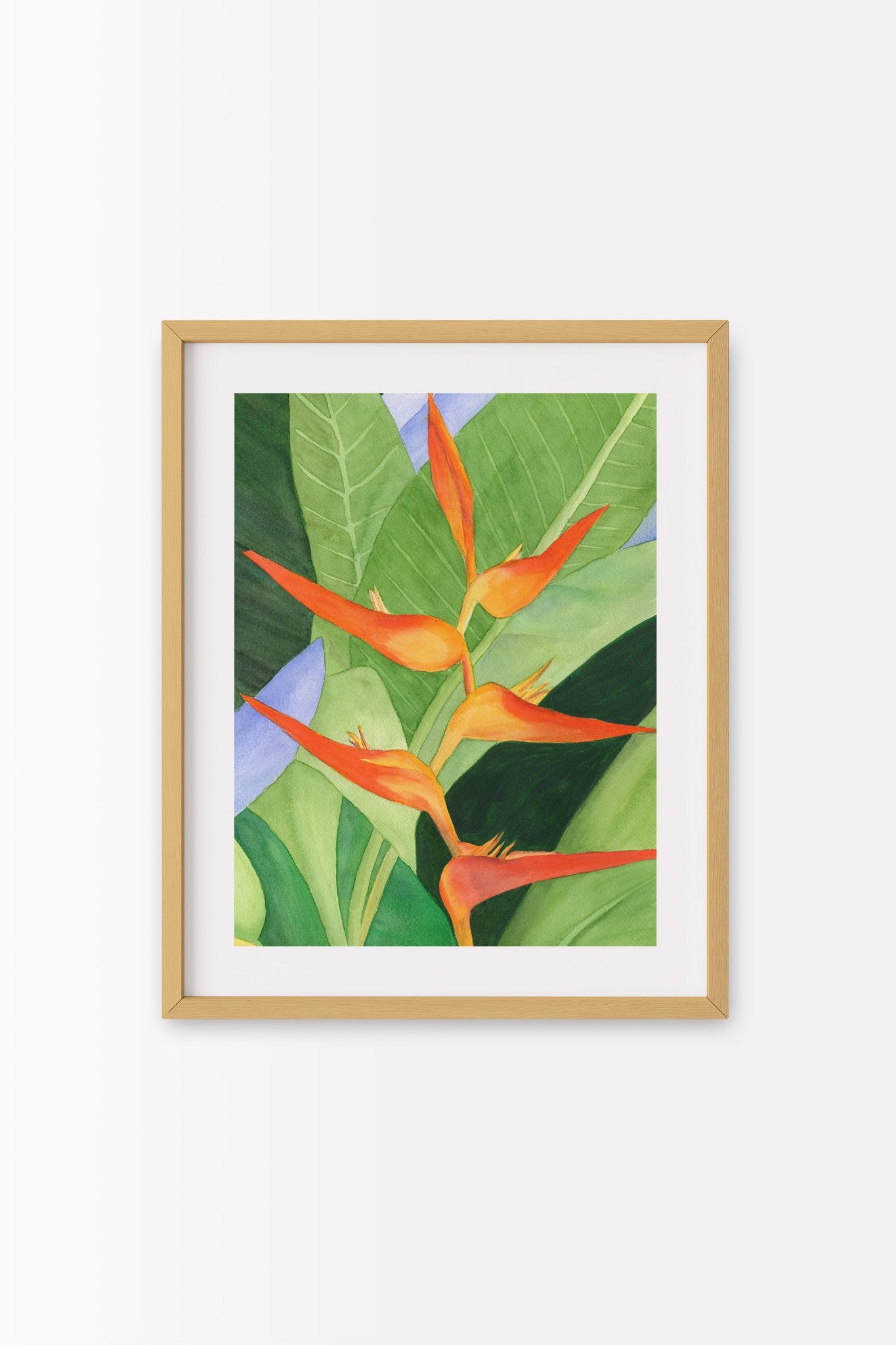 69f2ad89a10cdd42a53ee007_heliconia-b1_1779140408054.jpg
