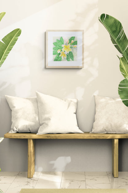69f2ad89a10cdd42a53ee007_sunlit-room-with-large-tropical-plants_1779478100849.jpg