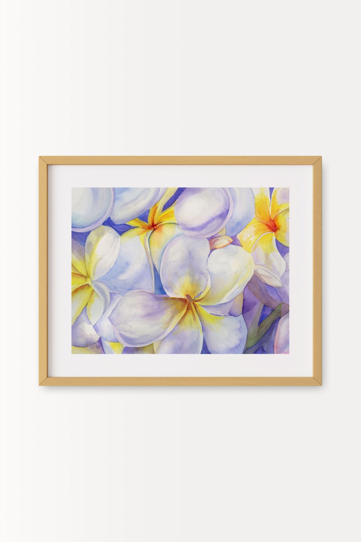 69f2ad89a10cdd42a53ee007_white-and-purple-plumeria-natural-a_1779316913611.jpg