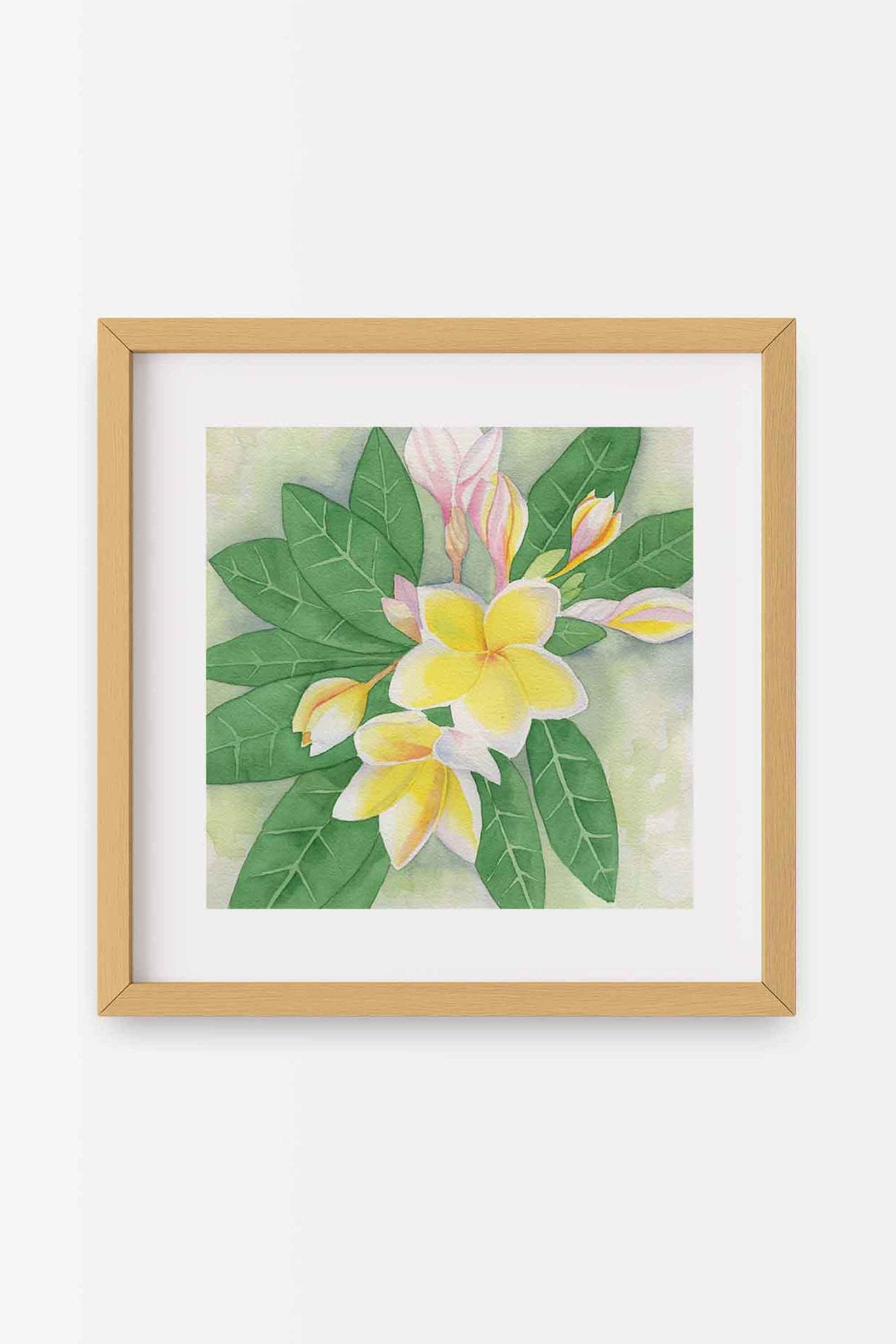 69f2ad89a10cdd42a53ee007_white-plumeria-square-natural-a_1779478083108.jpg