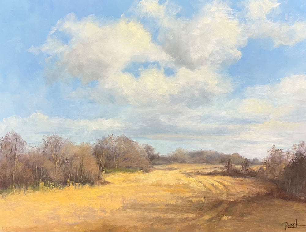 A horizontal Southern landscape oil painting by Carol Roark titled Flyover Field featuring billowing white clouds over a golden autumn field of broomsage on Mitsooz.