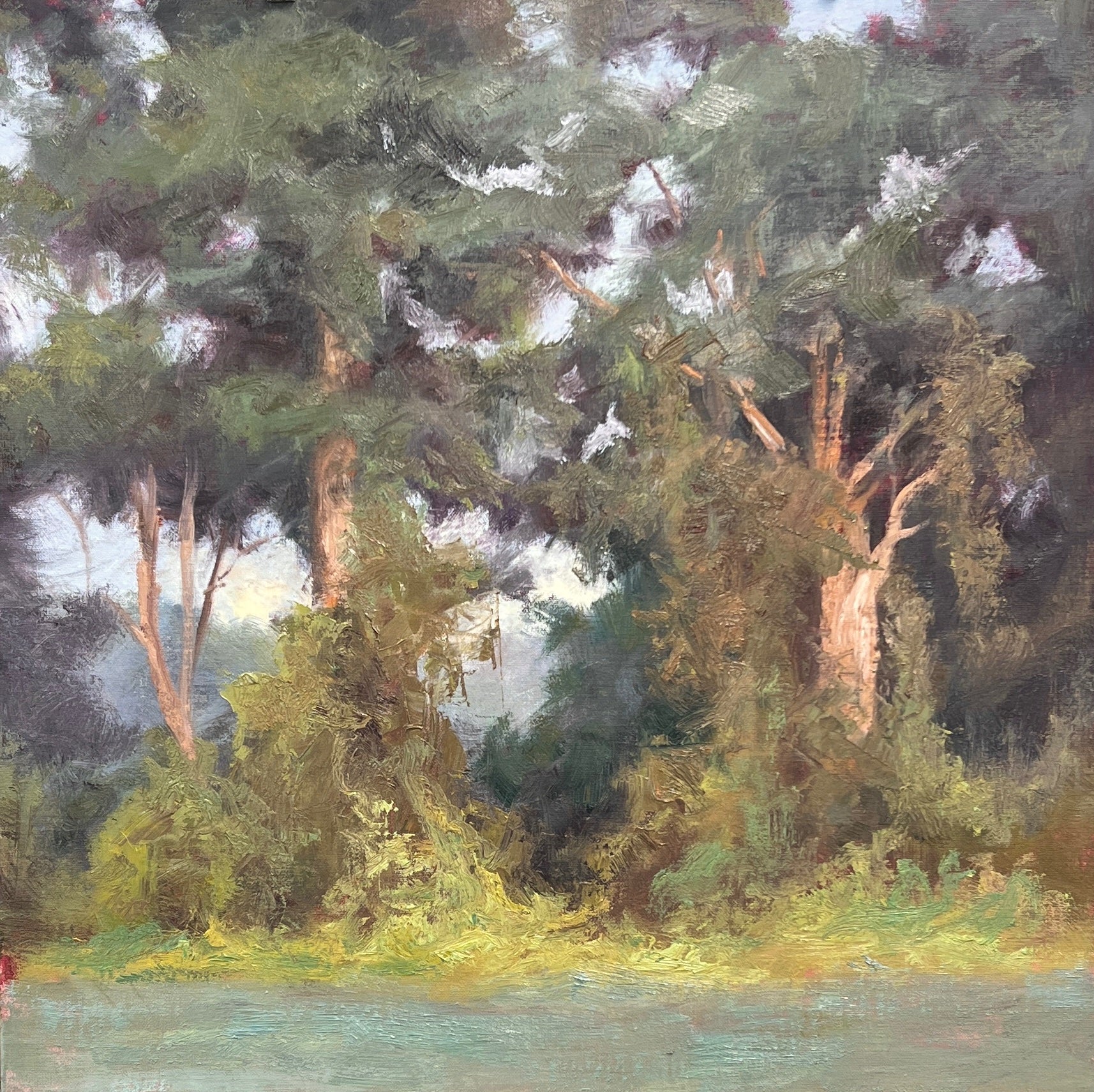 Kudzu Covered