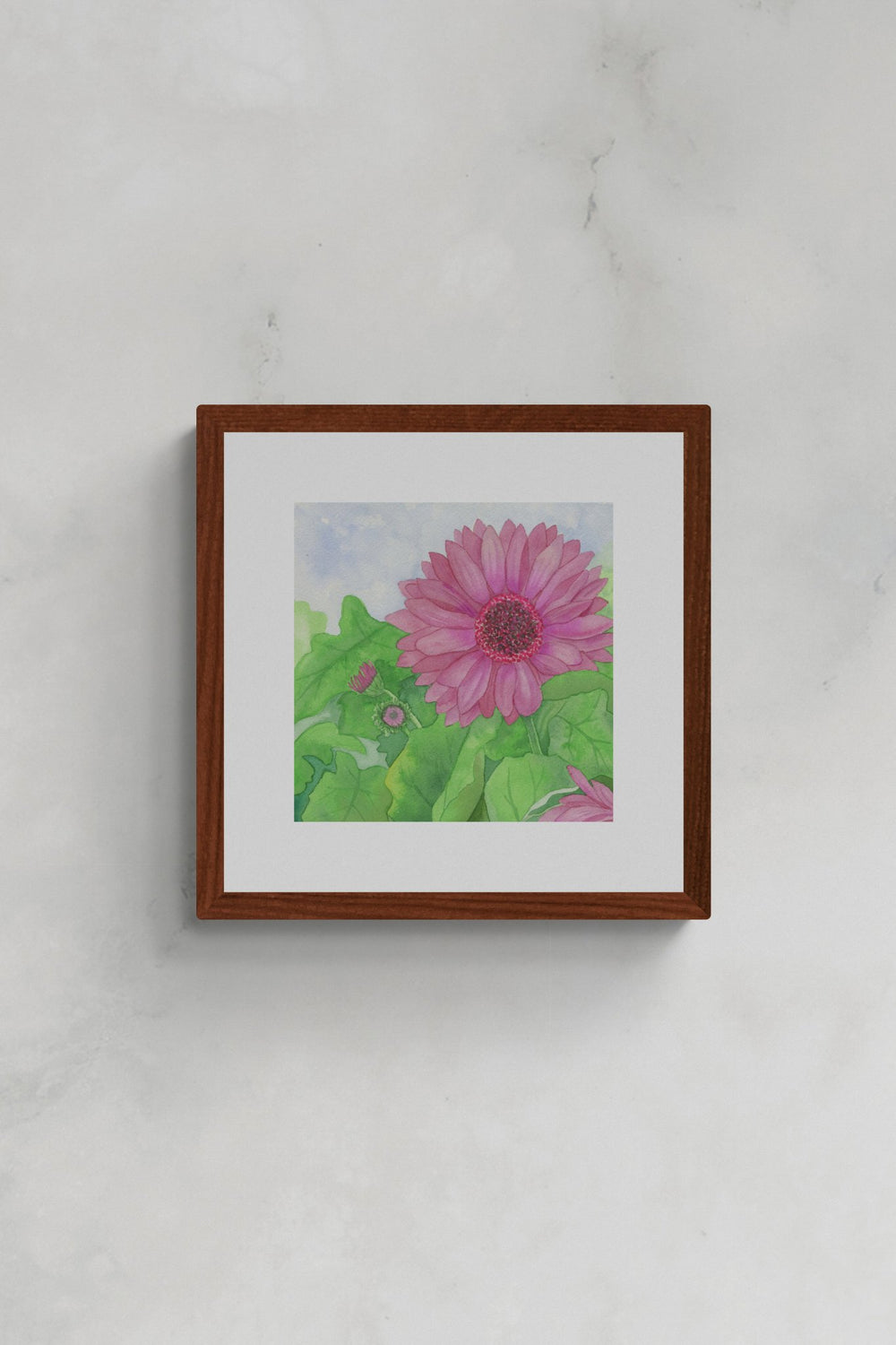 Square original botanical watercolor titled Fuchsia Gerbera Daisy by Ruth Wall featuring a deep pink bloom and green leaves in a mahogany frame on Mitsooz.