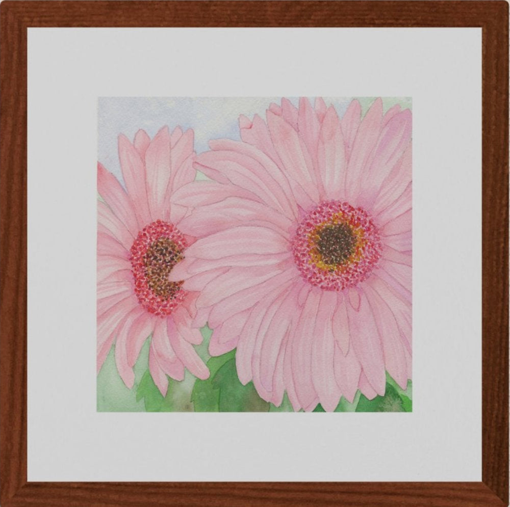 A square original botanical watercolor painting titled Pink Gerbera Daisy by Ruth Wall featuring two soft pink daisies in a mahogany frame on professional cotton rag paper at Mitsooz.