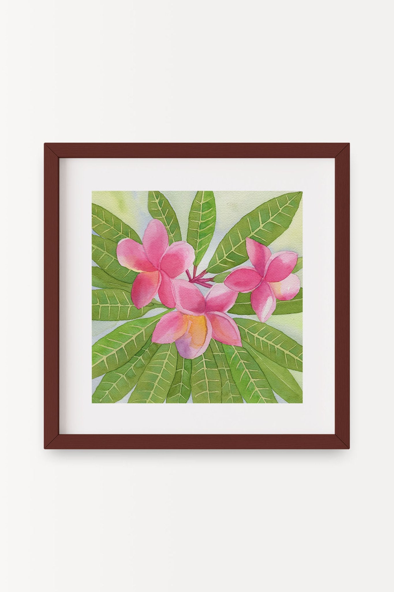 A square 16x16 original botanical watercolor titled The Deep Pink Plumeria by Ruth Wall, featuring fragrant deep pink blooms encircled by a crown of lush green leaves in a mahogany frame on Mitsooz.