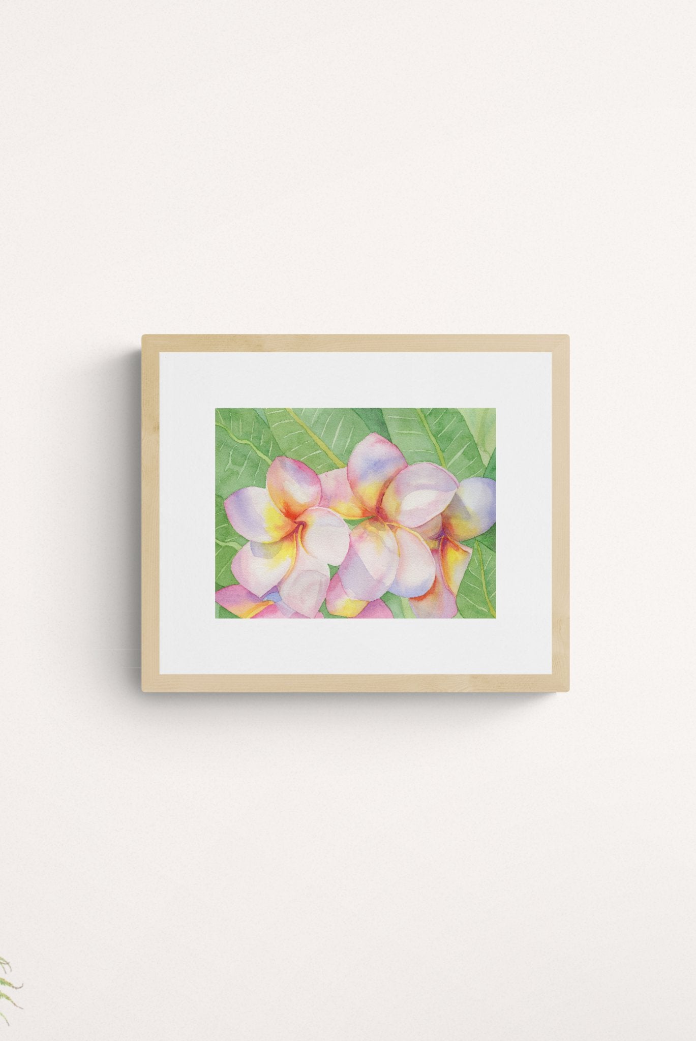 A horizontal original botanical watercolor titled The Pink Plumeria Blooms by Ruth Wall, featuring vibrant tropical pink and yellow flowers in a light natural wood gallery frame hanging on a neutral white wall at Mitsooz.