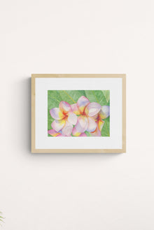 A horizontal original botanical watercolor titled The Pink Plumeria Blooms by Ruth Wall, featuring vibrant tropical pink and yellow flowers in a light natural wood gallery frame hanging on a neutral white wall at Mitsooz.