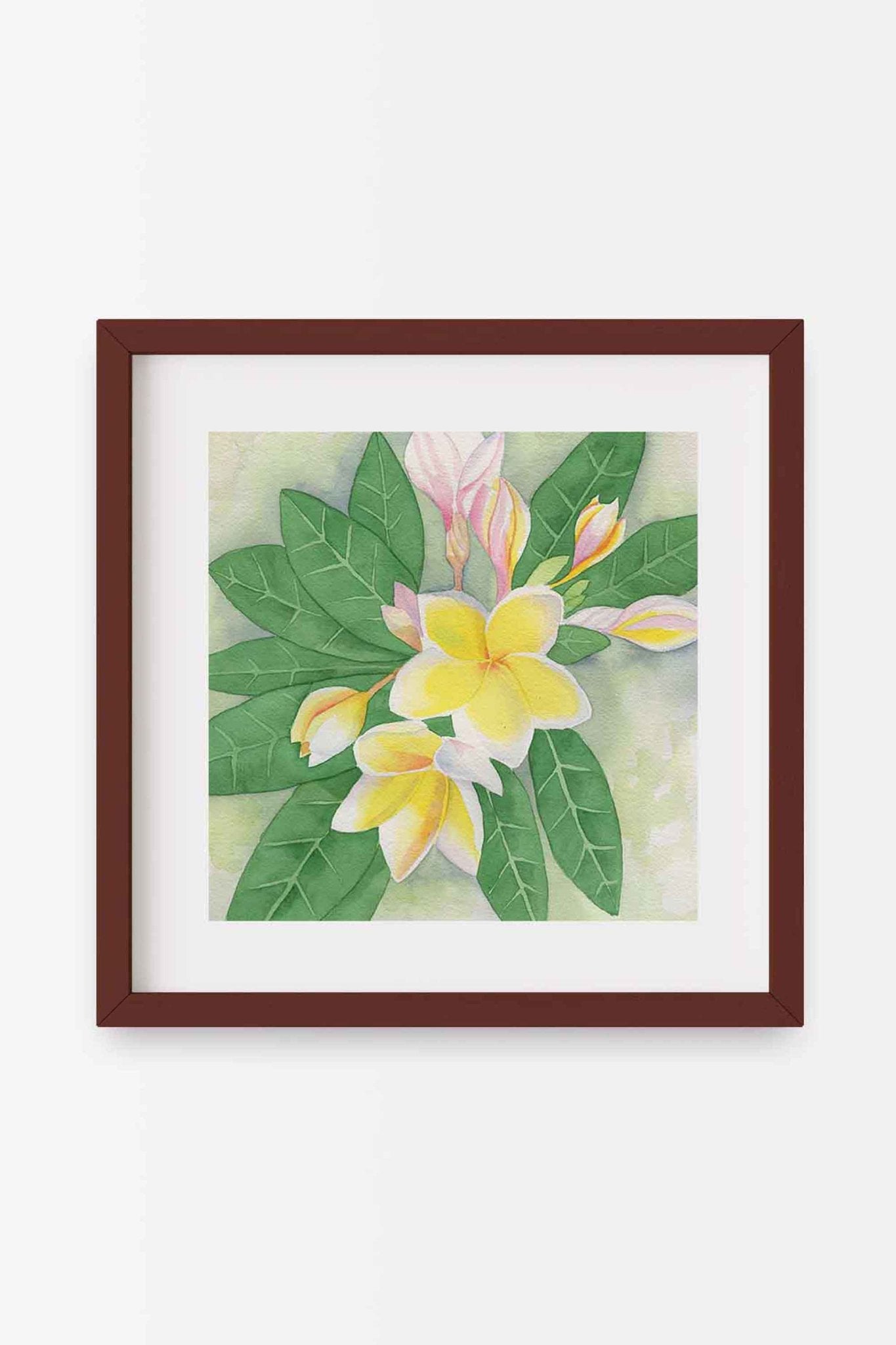 A square 16x16 original botanical watercolor titled The White Plumeria by Ruth Wall, featuring white tropical flowers with yellow centers and elegant twisted buds in a mahogany frame on Mitsooz.