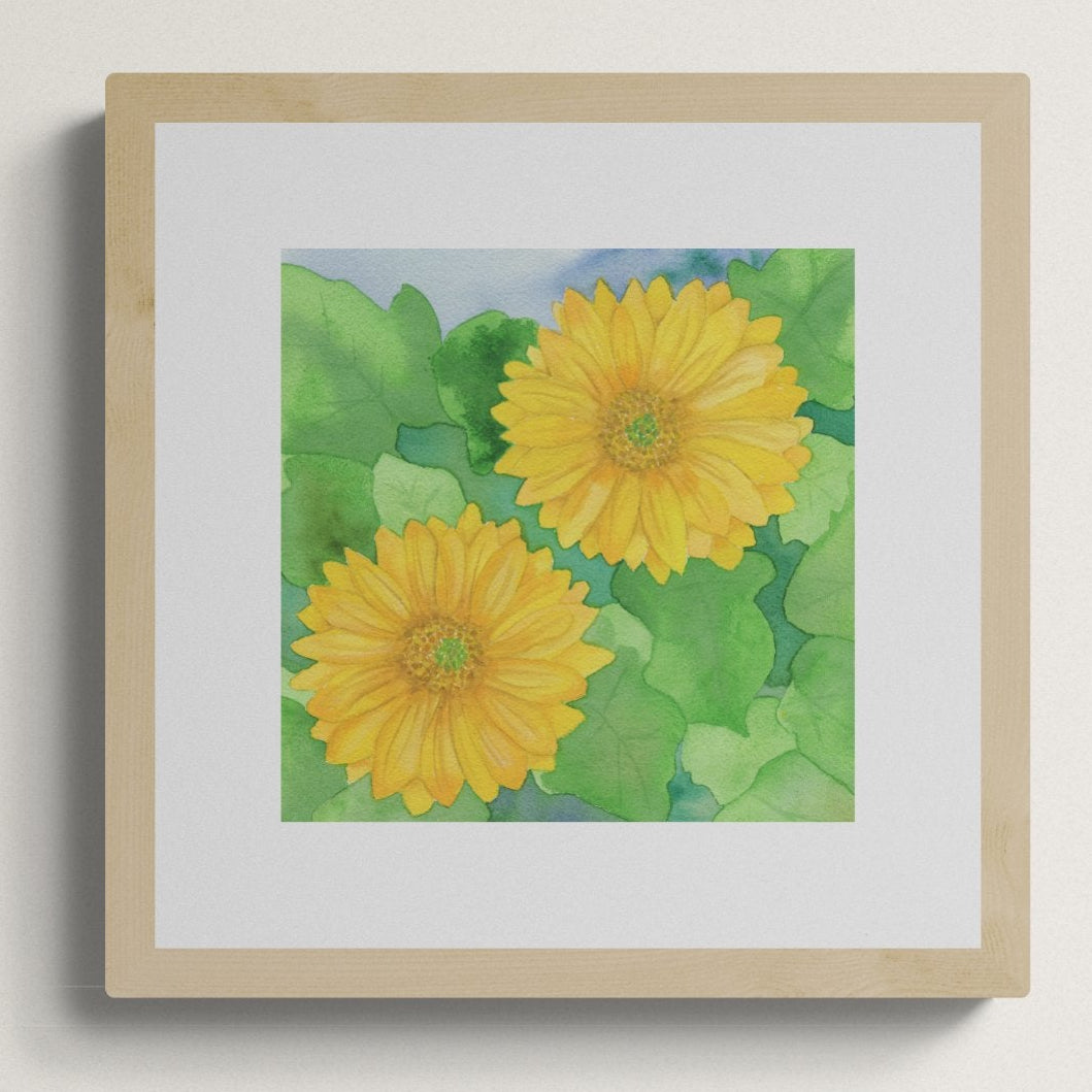 A square original botanical watercolor titled Two Yellow Gerbera Daisies by Ruth Wall featuring vibrant golden blooms in a light natural wood gallery frame on Mitsooz.