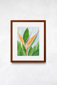 A vertical original botanical watercolor painting titled Words of Paradise by Ruth Wall featuring a vibrant orange and purple Bird of Paradise flower in a mahogany frame on Mitsooz.